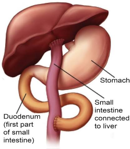 Clinical image for this question