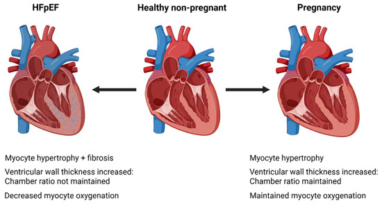 Clinical image for this question